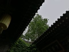 -湘子庙