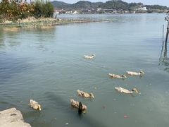 -东钱湖旅游度假区