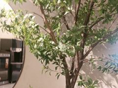 -高玛纳驴肉火烧(河间总店)