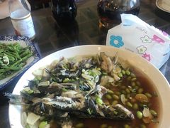 -呼吸森林·生态农庄农家乐私房菜