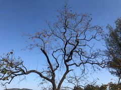 -罗田薄刀峰风景区
