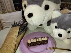 -Husky Go! 哈士奇体验馆·宠物咖啡厅狗咖