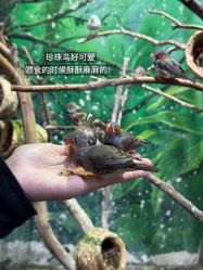 -Zoolung Zoolung动物主题公园(海信广场店)
