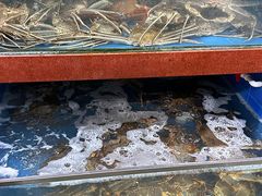 -众彩物流水产市场