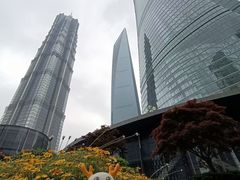 -上海中心大厦