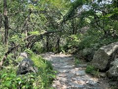 -阳台山自然风景区