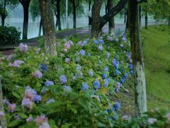 -艾溪湖湿地公园