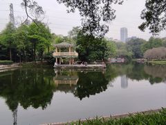 -晓港公园