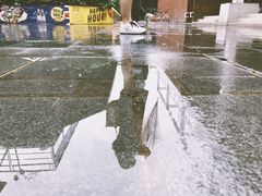 -珠江琶醍