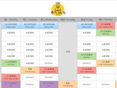 -勇气斑马·巴西柔术&跆拳道(浦东三林店)