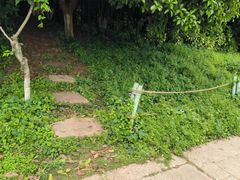 -八卦田遗址公园