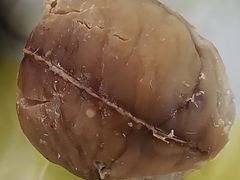 -粒上皇(莲塘聚宝路店)