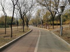 -滨河世纪广场公园