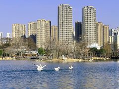 -武汉动物园