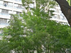 -南京市实验幼儿园