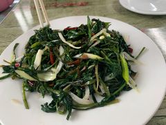 -庆岭迎宾园正宗活鱼馆