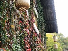 -茅山东方盐湖城景区