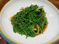 巩乃斯沙葱-新疆巴州金丝特餐厅(大钟寺店)