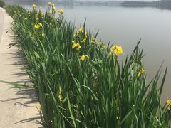 -星巴克(成都科学城店)