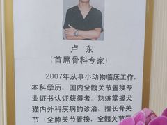 -中农大我爱我爱24h动物医院·中医针灸·猫专科·骨科医疗中心(双井店)