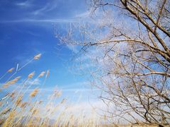 -野鸭湖国家湿地公园