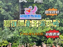 -广州长隆飞鸟乐园