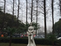 -上海科学技术职业学院