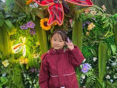 -郑州方特梦幻王国