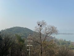 -东湖磨山景区