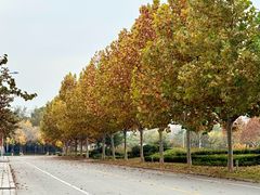 -山东大学(威海校区)