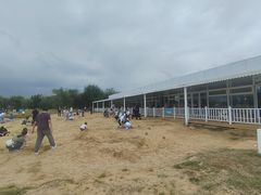 -天津东丽湖风景区