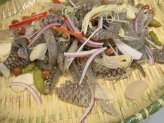 -陶缘一号·四季缘·老字号顺德菜·户外婚礼家宴(西滘店)