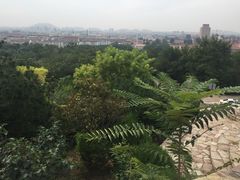 -府君山公园