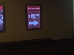 -华谊兄弟影院(IMAX洋桥店)