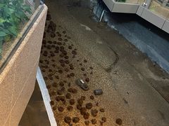 -元代水闸遗址博物馆