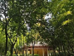 -阿育王寺