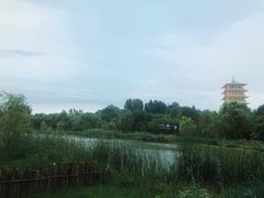 -Supine Bistro溯泮餐厅