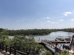 -东寨港红树林旅游区