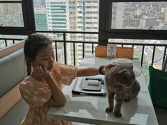 -喵园·猫主题咖啡厅·撸猫·猫咖(国贸店)