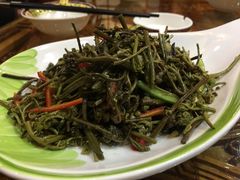 凉拌蕨菜-宗巴雍姆藏餐府