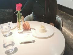 -BLACKSWAN黑天鹅(环球店)