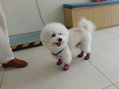 -美联众合动物医院·24h京西诊疗中心