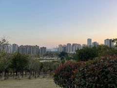 -牛岗山公园