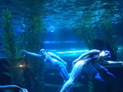 -皇家极地海洋世界-售票处