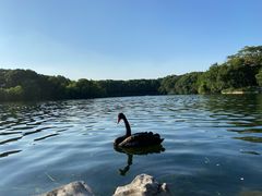 公园内景观-西郊宾馆·1921餐厅