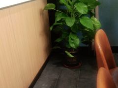 -老伙记海鲜码头(北滘店)