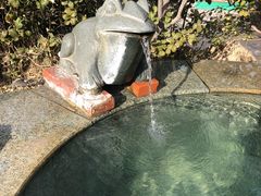 -仁爱团泊湖温泉中心