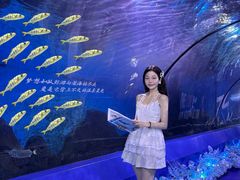 -重庆欢乐海底世界
