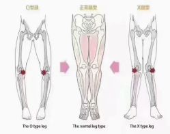 点击看大图 -昕孕瑜伽·孕妇瑜伽·产后修复