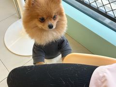 -怪兽屋·羊驼·猫咖·狗咖(俊华广场店)